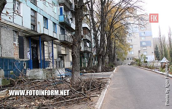 Многим жителям Кропивницкого не нравится, что деревья в городе обрезают практически до стволов.