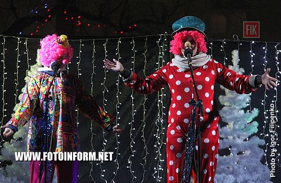 В Кропивницком засияла новогодняя красавица, Председатель Кировоградской ОГА Сергей Кузьменко, городской глава Андрей Райкович 