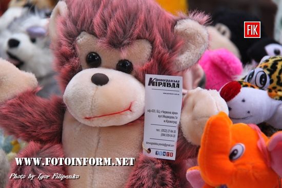 У Кропивницькому журналісти збирали гроші онкохворим дітям