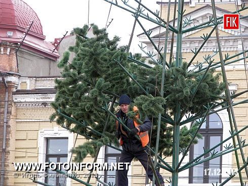 В Кировограде на площади им. Кирова вовсю идет установка новогодней елки.