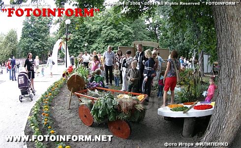 Аллея цветов в Кировограде фоторепортаж Игоря ФИЛИПЕНКО. Аллея цветов в Кировограде фоторепортаж Игоря ФИЛИПЕНКО.
