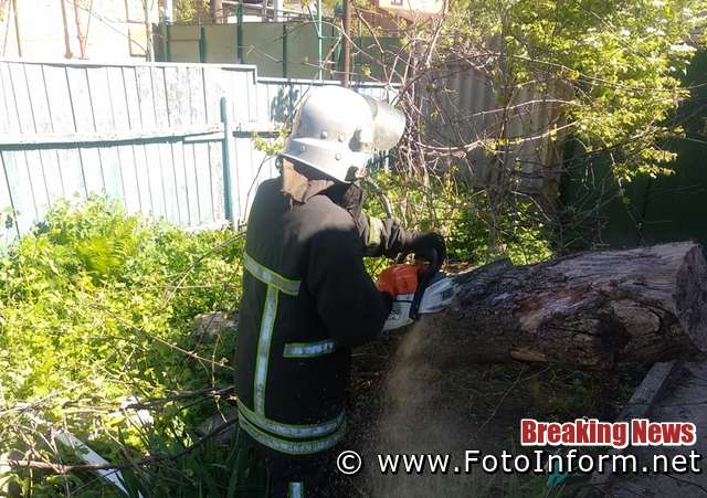 18 травня бійці 1-го Державного пожежно-рятувального загону м. Кропивницький надали допомогу по розпилюванню старої груші, яка впала на територію приватного домогосподарства по Глухому провулку в обласному центрі.