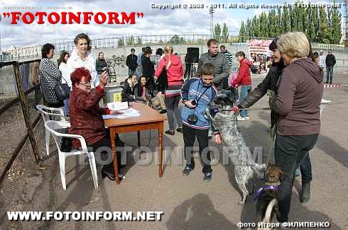 Кубок Барбоса по-кировоградски. Фоторепортаж
