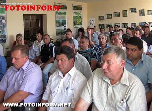 На аукционе по продаже необработанной древесины на Кировоградщине реализовано почти всю продукцию (ФОТО)