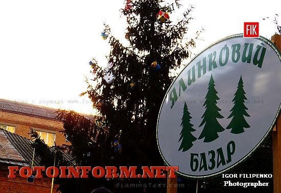 Кировоград: стартовала ярмарка праздничных елок, в какую цену и где купить елки и сосны