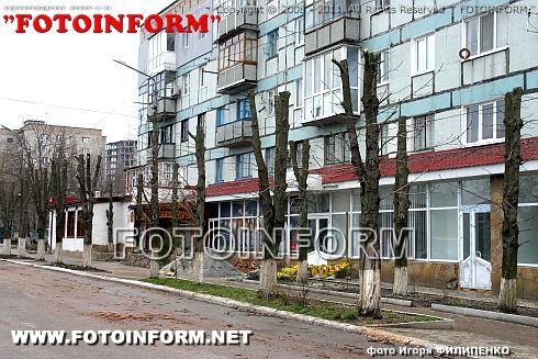 Кто-то высаживает деревья, а некоторые их калечат (ФОТО) Игоря Филипенко