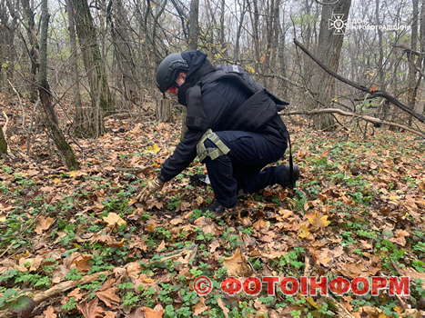 Фахівці частини піротехнічних робіт, підводного та гуманітарного розмінування аварійно-рятувального загону спеціального призначення ГУ ДСНС в області вилучили та знищили гранату Ф-1 часів Другої світової війни