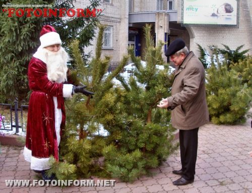 Цього року лісівники Кіровоградщини реалізували новорічних ялинок майже на 1,7 млн. гривень (ФОТО)