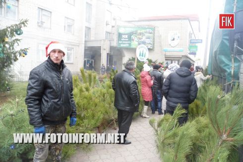 Кировоград: ярмарка новогодних красавиц (ФОТО)
