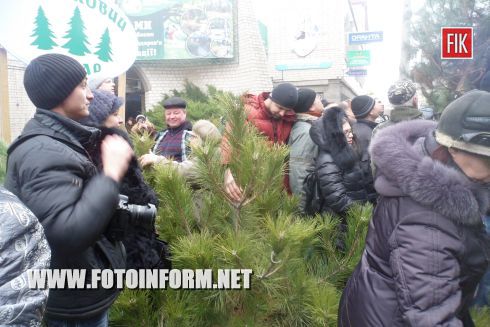 Кировоград: ярмарка новогодних красавиц (ФОТО)