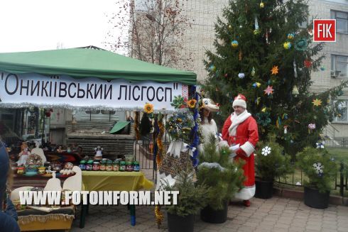 Кировоград: ярмарка новогодних красавиц (ФОТО)