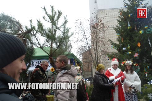 Кировоград: ярмарка новогодних красавиц (ФОТО)