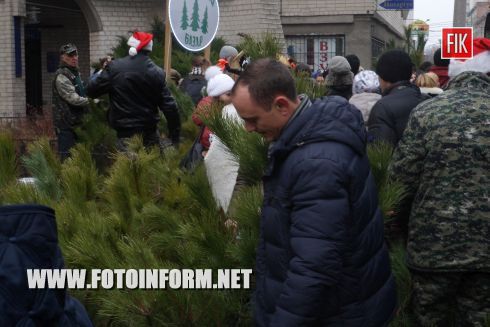 Кировоград: ярмарка новогодних красавиц (ФОТО)