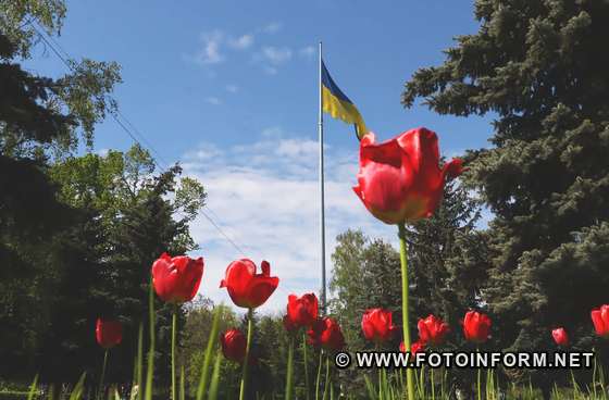 У Кропивницькому відбулись урочистості з нагоди Дня пам’яті та примирення