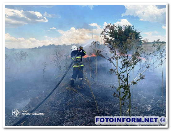 На Кіровоградщині рятувальники ліквідували понад два десятки пожеж (ФОТО)