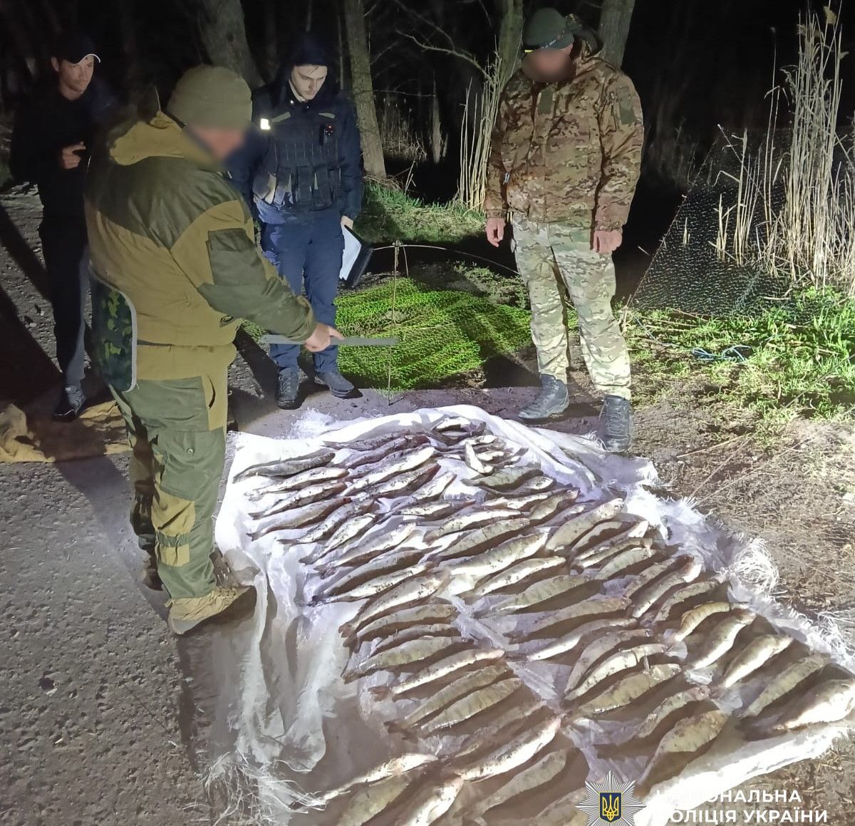 Вилучений незаконний улов судака на Кіровоградщині, збитки 200 тисяч гривень
