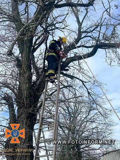 На Кіровоградщині продовжують ліквідовувати наслідки негоди