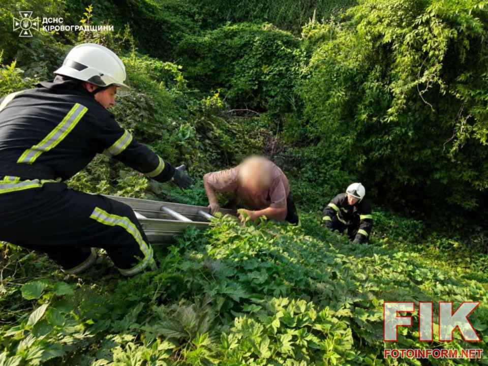 Рятувальники ДСНС у Кропивницькому за допомогою драбини допомагають літньому чоловікові вибратися з ями
