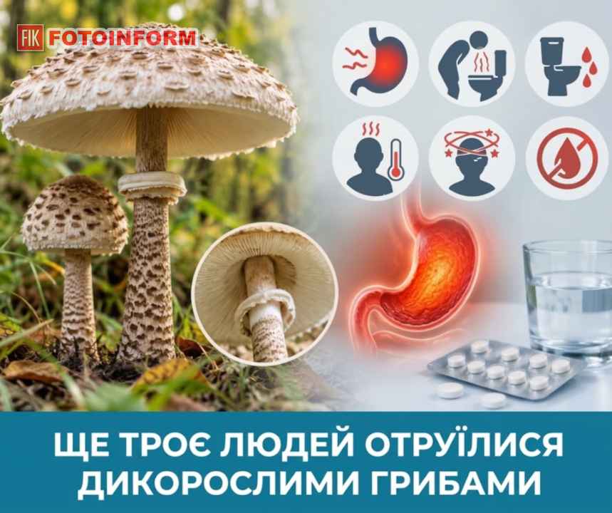 8-річна дитина та двоє дорослих отруїлися дикорослими грибами на Кіровоградщині — як уникнути небезпеки