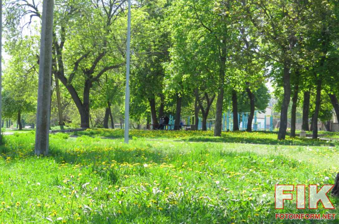 Жителі Кропивницького відпочивають на галявині з розквітлими кульбабами в центрі міста