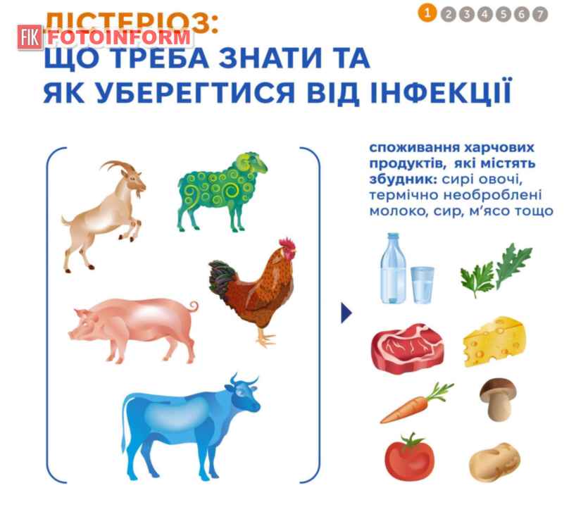 Лістеріоз в Україні: 13 випадків, 2 смерті немовлят