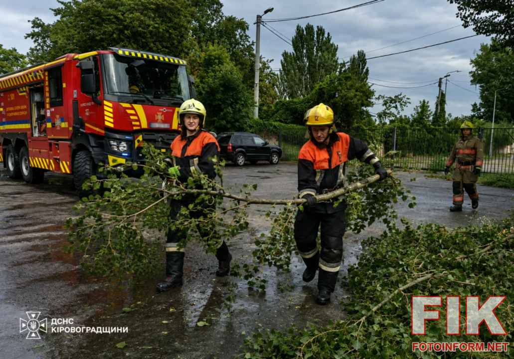 Рятувальники ДСНС розпилюють повалені через негоду дерева на дорозі в Кіровоградській області