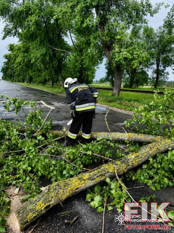 Наслідки сильного вітру та зливи на Кіровоградщині, робота бійців ДСНС