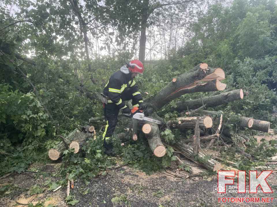 Рятувальники ДСНС Кіровоградщини за допомогою бензопили розпилюють та прибирають аварійне дерево, повалене через сильний вітер.