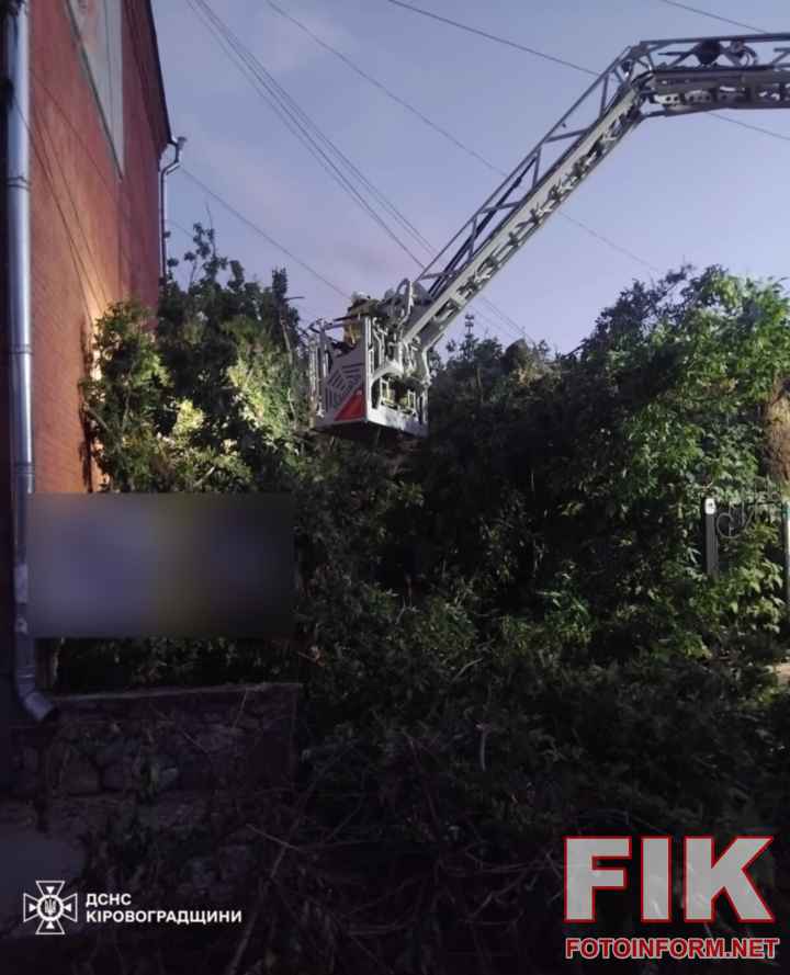 Наслідки негоди на Кіровоградщині: велике дерево впало на дах житлового будинку через сильні пориви вітру.