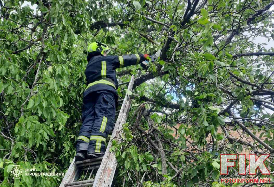 Рятувальники ДСНС Кіровоградщини розпилюють та прибирають повалені внаслідок негоди дерева з проїжджої частини у Кропивницькому.