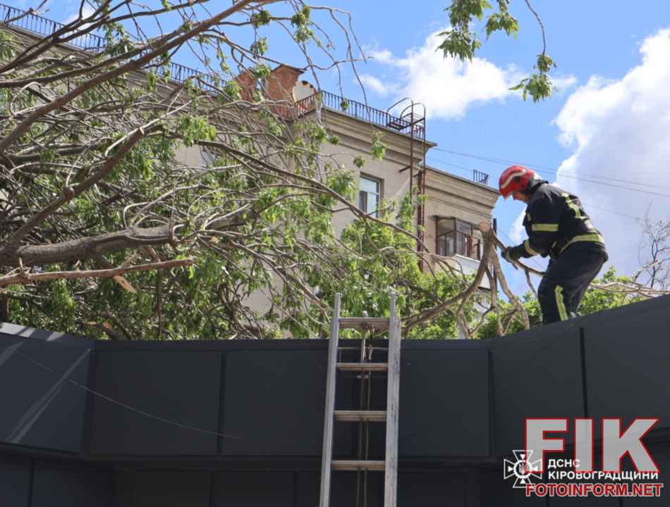 Рятувальники ДСНС у Кропивницькому розпилюють повалені дереві бензопилою після негоди"
