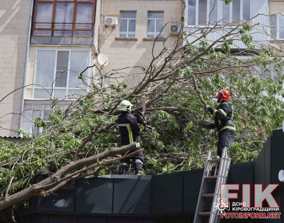 Рятувальники ДСНС у Кропивницькому розпилюють повалені дереві бензопилою після негоди"