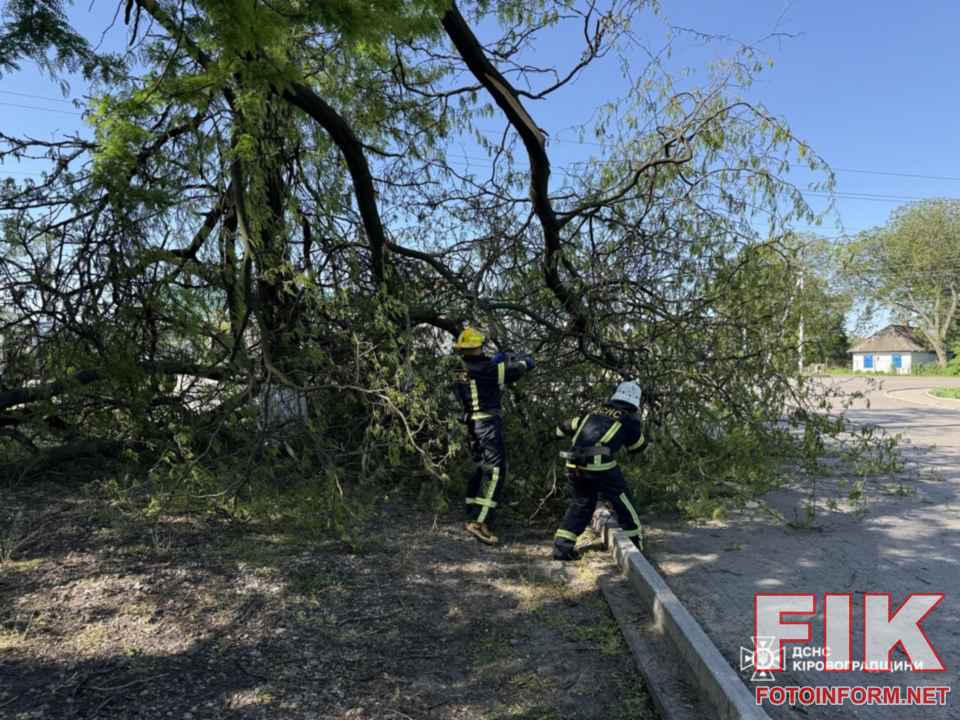 Рятувальники ДСНС Кіровоградщини за допомогою бензопили розпилюють та прибирають аварійне дерево, повалене через сильний вітер.