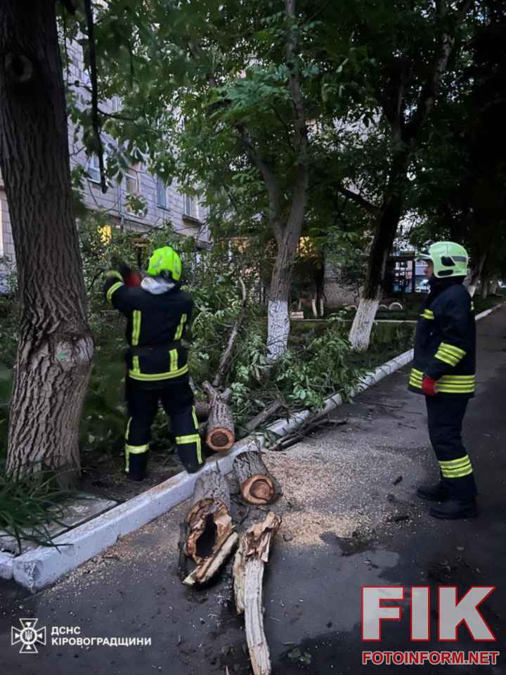 Наслідки негоди на Кіровоградщині: велике дерево впало на дах житлового будинку через сильні пориви вітру.