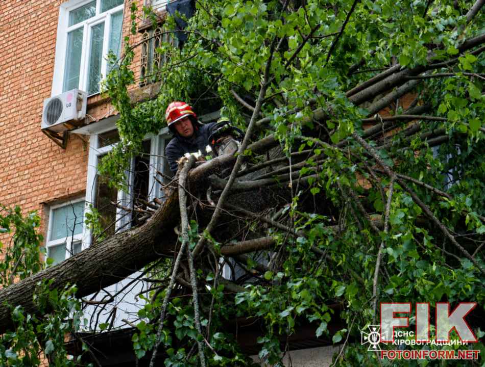 Наслідки негоди на Кіровоградщині: велике дерево впало на дах житлового будинку через сильні пориви вітру.