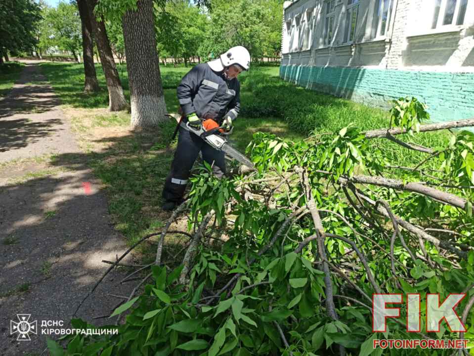 Рятувальники ДСНС розпилюють та прибирають повалене буревієм дерево у Кропивницькому