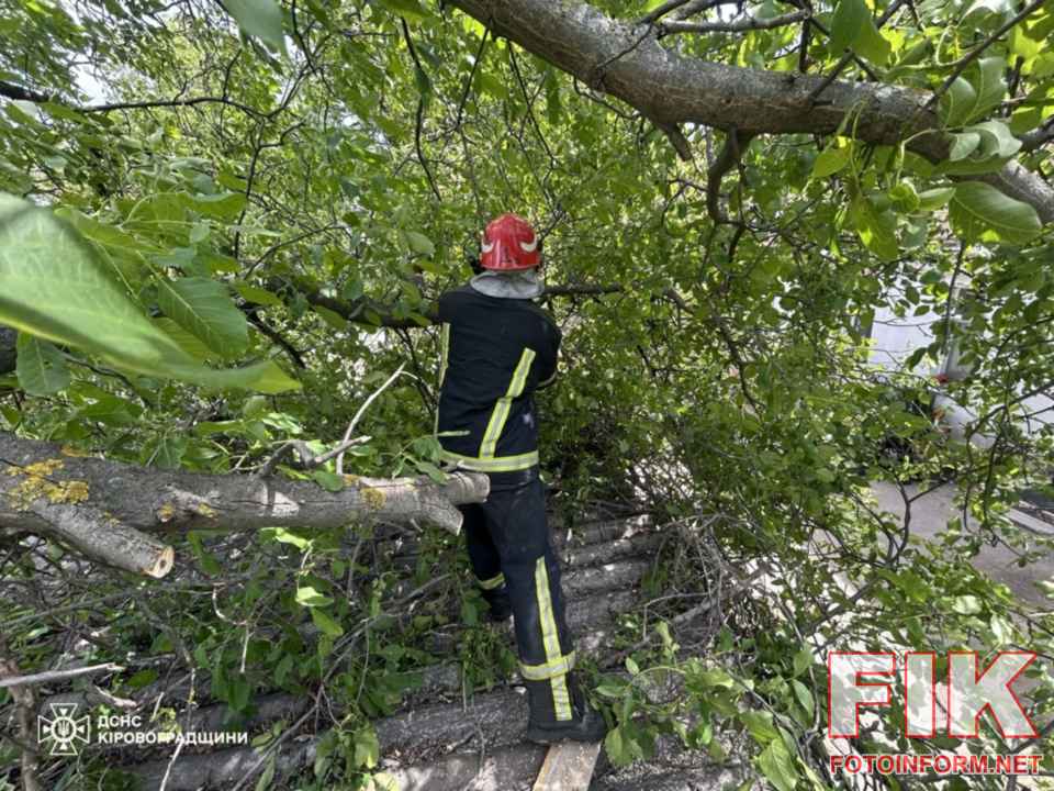 Рятувальники ДСНС Кіровоградщини розпилюють та прибирають повалені внаслідок негоди дерева з проїжджої частини у Кропивницькому.