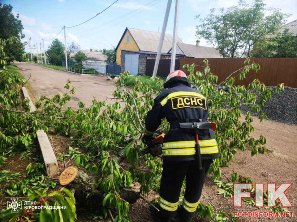Рятувальники ДСНС Кіровоградщини розпилюють повалене дерево на проїжджій частині дороги після негоди