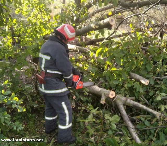 У Кропивницькому містянам продовжують надавати допомогу з ліквідації наслідків негоди