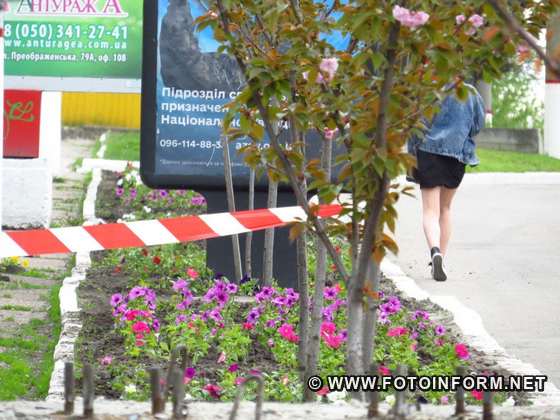 з алеї сакур прибрали бігборд