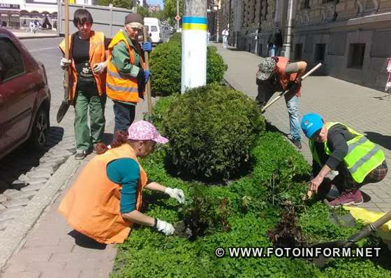 Дві сотні кущів троянд подарували небайдужі кропивничани комунальному підприємству міста "Благоустрій". 
