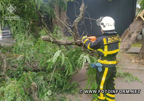 На Кіровоградщині рятувальники ліквідовували наслідки негоди (ФОТО)