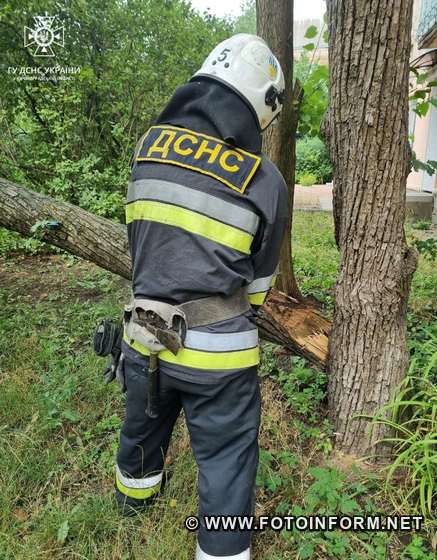 На Кіровоградщині рятувальники ліквідовували наслідки негоди (ФОТО)