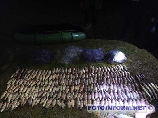 На Кіровоградщиніі браконьєри наловили риби майже на півмільйона гривень (ФОТО)