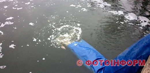 У водойми Кіровоградщини вселено понад 2 тонни риби