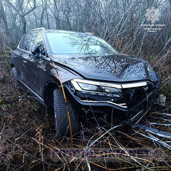 Неподалік Кропивницького іномарка наїхала на дерево (ФОТО)