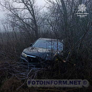 Неподалік Кропивницького іномарка наїхала на дерево (ФОТО)