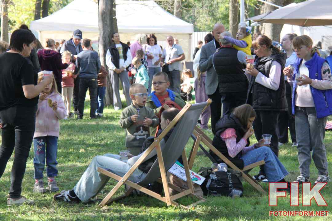 Сімейний пікнік Родина для кожної дитини у Кропивницькому, фото Ігоря Філіпенка