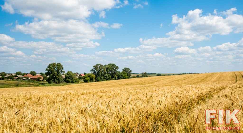 П'ятниця в Україні обіцяє бути переважно сонячною та теплою.