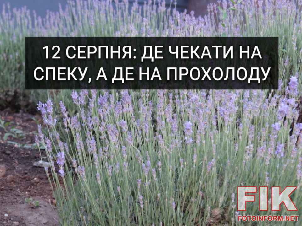 погода в Україні, прогноз погоди 12 серпня